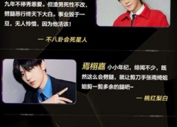 吃瓜娱乐全网收集,吃瓜娱乐，揭秘娱乐圈幕后故事