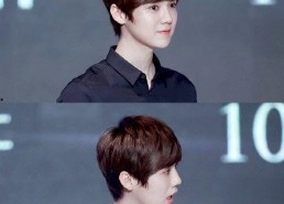 吃瓜娱乐圈鹿晗图片高清,娱乐圈瓜田里的清新风景