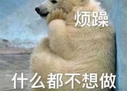 吃瓜群众专用图,揭秘“吃瓜群众”专用图背后的趣味与真相