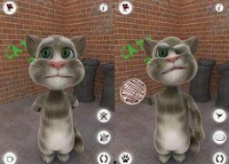 吃娱乐瓜tom猫的微博,Tom猫微博揭秘娱乐圈幕后故事