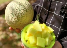 娱乐圈吃瓜名称,那些年我们追过的明星八卦大揭秘