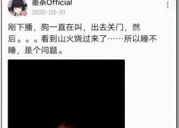 网易娱乐圈吃瓜记