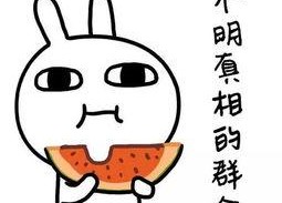 718娱乐吃瓜是啥意思,网络热词背后的娱乐现象