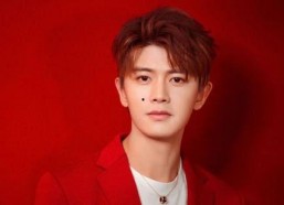 娱乐吃瓜蜀黍任嘉伦视频,娱乐圈幕后故事大揭秘！