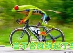 娱乐吃瓜酱自行车,自行车界的潮流新宠