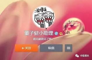 吃瓜娱乐小助手,吃瓜娱乐小助手带你探秘明星生活
